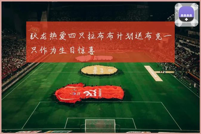 狄龙热爱四只拉布布计划送布克一只作为生日惊喜
