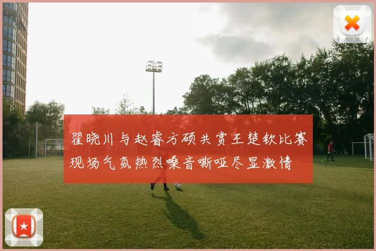 翟晓川与赵睿方硕共赏王楚钦比赛现场气氛热烈嗓音嘶哑尽显激情